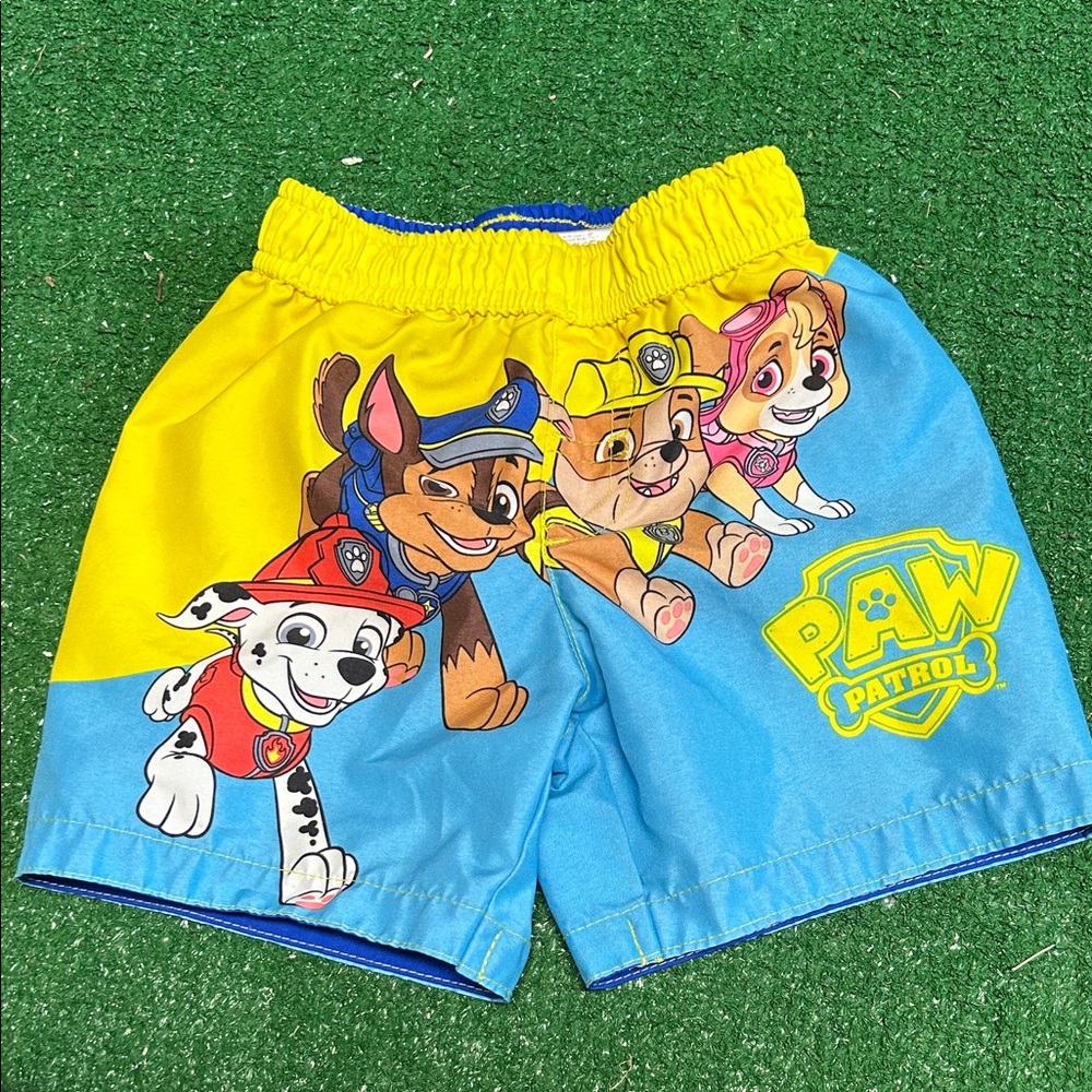 Paw Patrol Kids Colorful Character Swim Suit